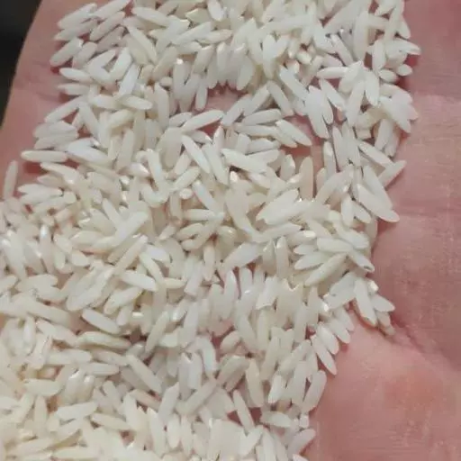 برنج طارم هاشمی (10کیلوگرمی) کشت اول معطر غربال و سورت شده صداقت