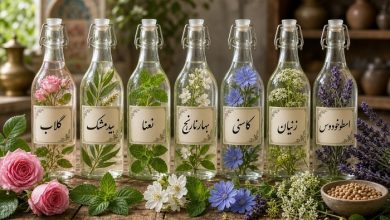 عرقیات گیاهی سنتی