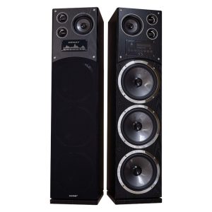 پخش کننده خانگی دنای مدل DE-3010NW3